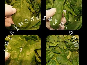 Pain tournesol farci
